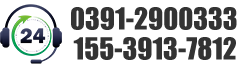 0391-2900333 13103918755